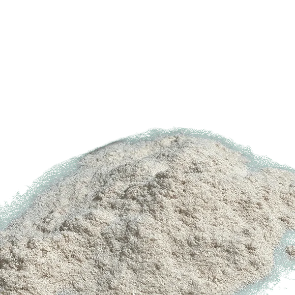 Loose Absorbents Featured Image